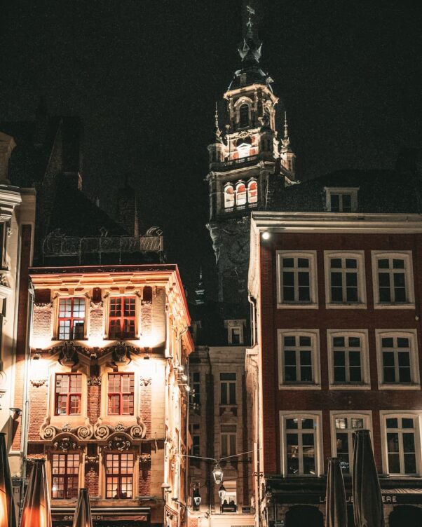 Capitale des Hauts-de-France, Lille