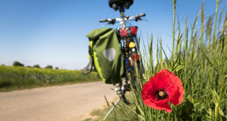 Faut-il louer ou acheter un vélo ?