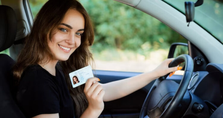 permis conduire