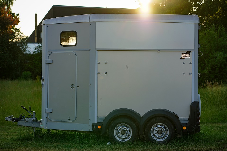 vans pour les chevaux