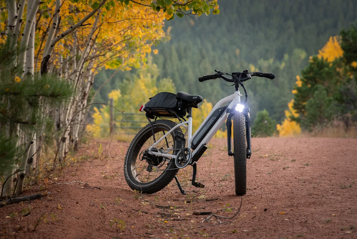 vélo à assistance électrique